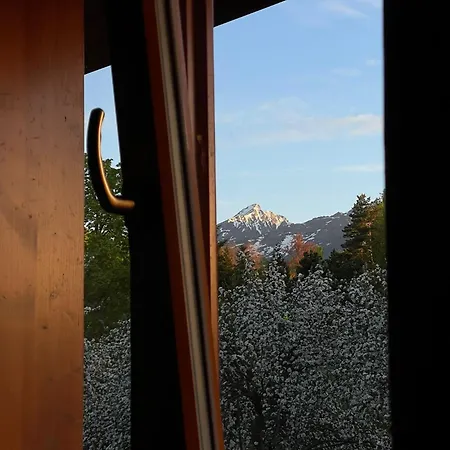 S Krbom Vedľa Zubačky *
